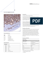 Napsin A (Polyclonal) - CM - MAN - EN - IVD - 2.1