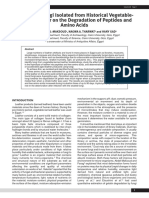 The Role of Fungi Isolatedfrom Historical VegetableTanned Leather On The Degradation of Peptides and Amino Acids