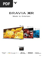 Bravia A2023