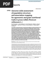 Genome-Wide Assessment of Population Structure and