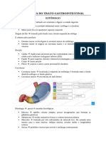 Anatomia Do Trato Gastrointestinal