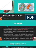 Clase 5 - Respiración Celular