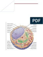 Cytology 2024-2025