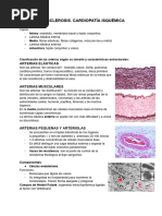 T14 Anatomía Patológica