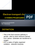 Electron Transport Chain-Final