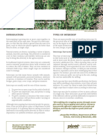 PIVOT POGI Factsheet Intercropping 102816