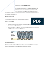 Struktur Dan Fungsi Membran Sel