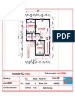 Plan Nzundu RDC