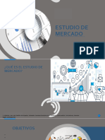 Estudio-de-Mercado PROYECTOS