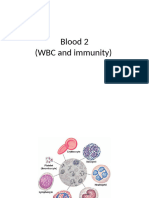 Blood 2 (WBC and Immunity)