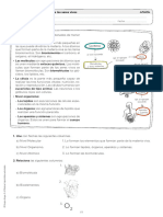 Et03451401 04c 01 1a Niveles Organizacion bg3