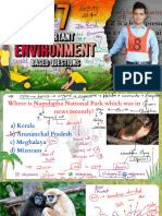 Everything About Environment