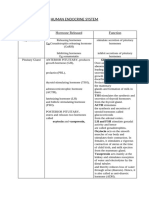 Human Endocrine System