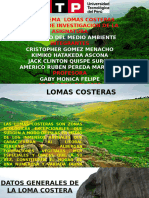 Lomas Costeras (10273)