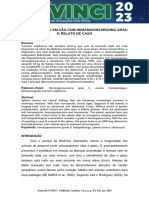 Esplenectomia em Cão Com Hemangiossarcoma Grau II