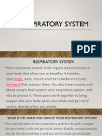 Respiratory System