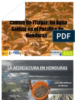 Cultivo de Tilapia en Ambiente Marino en El Golfo de Fonseca - Honduras (V Congreso Colombiano) .