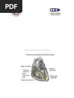 Apunte Explicativo Sobre Las Constantes Vitales y Sus Valoraciones.