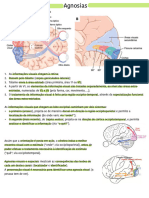 Agnosias e Cegueira Cortical