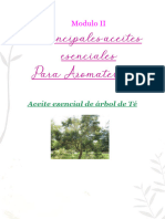 Curso y Taller de Aromaterapia Modulo II