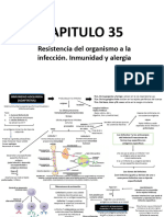 Resumen Cap 35 y 36