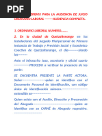 Pasos Sugeridos para La Audiencia de Juicio Ordinario Laboral