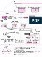 Exam 2 Notes