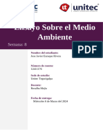 Ensayo Sobre El Medio Ambiente