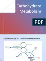 Carbohydrate Metabolism 1