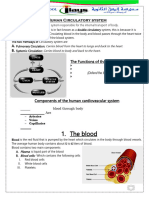 Circulatory System F3 23 Update1 - 241028 - 201510