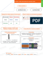 La Cellule, Unité Structurale Du Monde Vivant