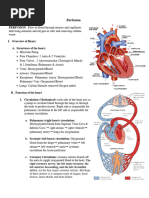 Perfusion 1