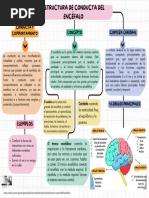 Gráfica Mapa Conceptual Simple Colorido