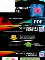 Flujo Sanguíneo Pulmonar