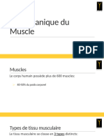 5 - BiomÃ©canique Des Muscles