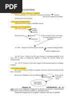 Caracteres de La Ley Penal