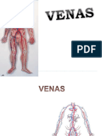 Venas