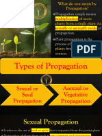 Propagation Lecture