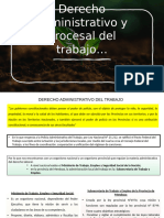 Derecho Administrativo y Procesal Del Trabajo