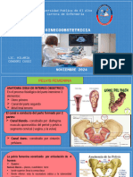 Pelvis Femenina