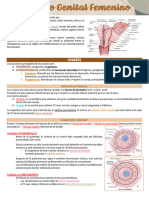 CAP 23 - Sistema Genital Femenino