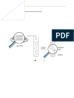 Precipitation Reactions W24