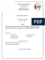 Rapport Pfa 1