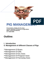 Pig Management-1