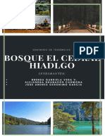 Bosque El Cedral