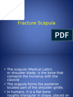 Fracture Scapula - 11127 - PT 1126-T - 21-01-2021