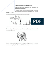 Ergonomía Tema 3 Manejo de Cargas