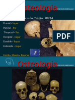 Ossos Cranio