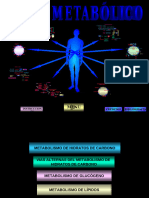 Mapa Metabolico