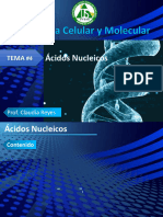 Tema #4 Acidos Nucleicos F